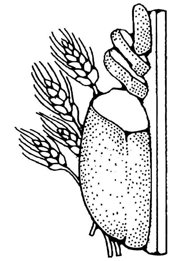 Plansa de colorat cu Paine 3 6